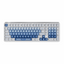 RK ROYAL KLUDGE R99 Wireless Mechanical Keyboard