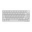 ROYAL KLUDGE M75 HE Magnetic Switch Wired Mechanical Keyboard