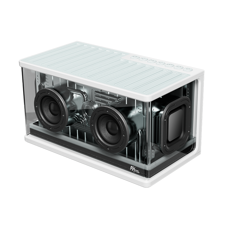 Loa Bluetooth RK ROYAL KLUDGE SH100