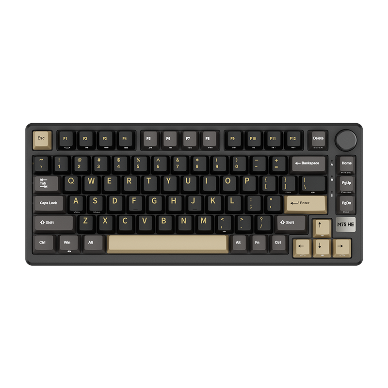 ROYAL KLUDGE M75 HE Magnetic Switch Wired Mechanical Keyboard