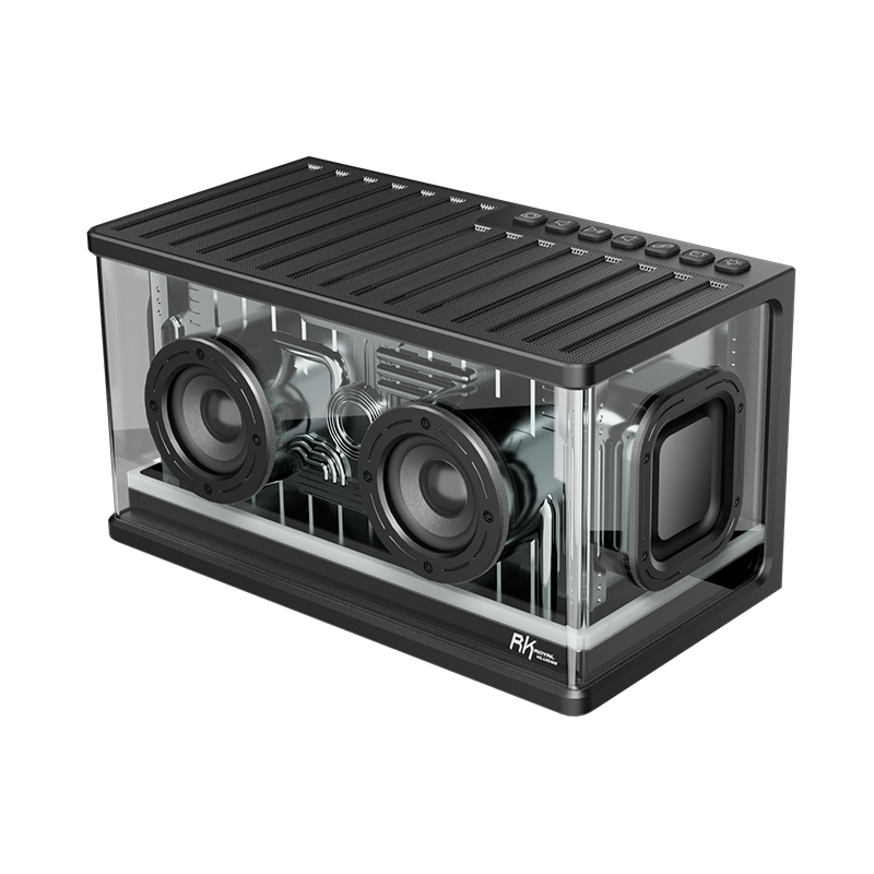 Loa Bluetooth RK ROYAL KLUDGE SH100