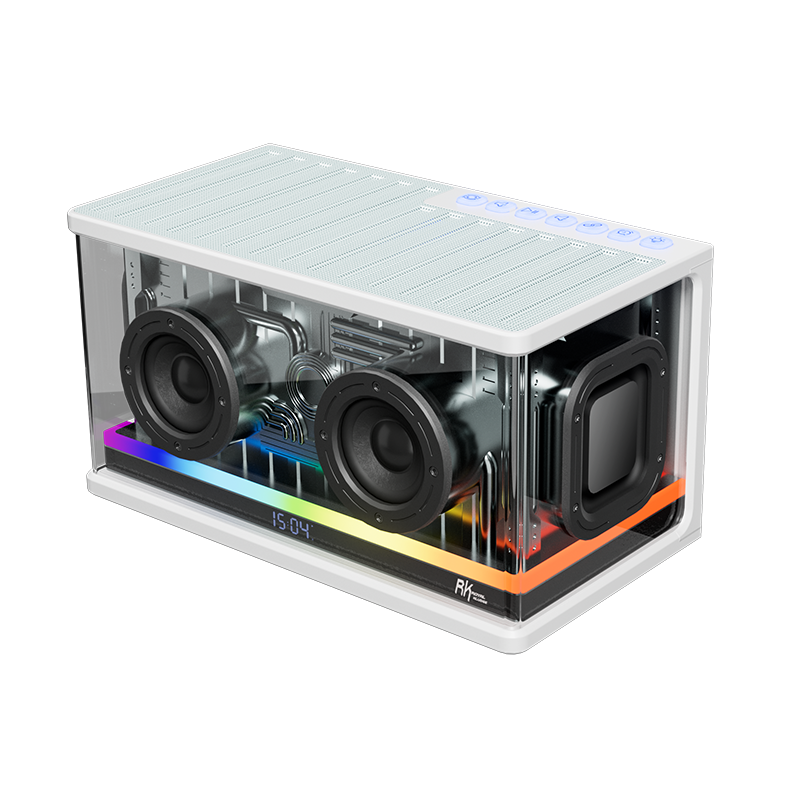 Loa Bluetooth RK ROYAL KLUDGE SH100