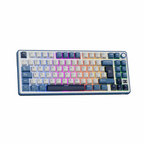 RK ROYAL KLUDGE X87 Wireless Mechanical Keyboard