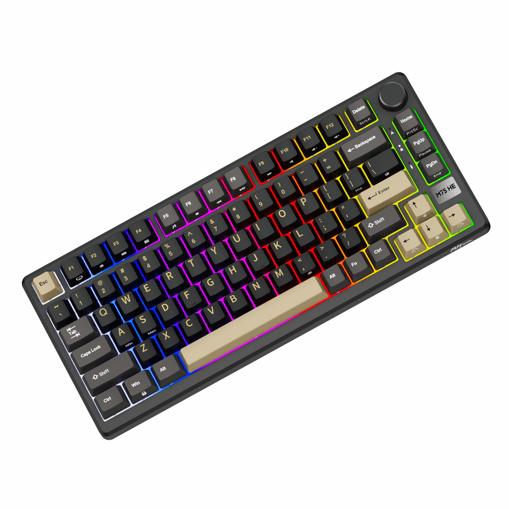 ROYAL KLUDGE M75 HE Magnetic Switch Wired Mechanical Keyboard