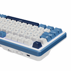 RK ROYAL KLUDGE X87 Wireless Mechanical Keyboard