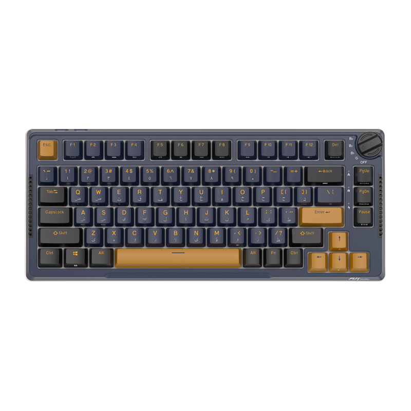 RK ROYAL KLUDGE H81 Wireless Mechanical Keyboard