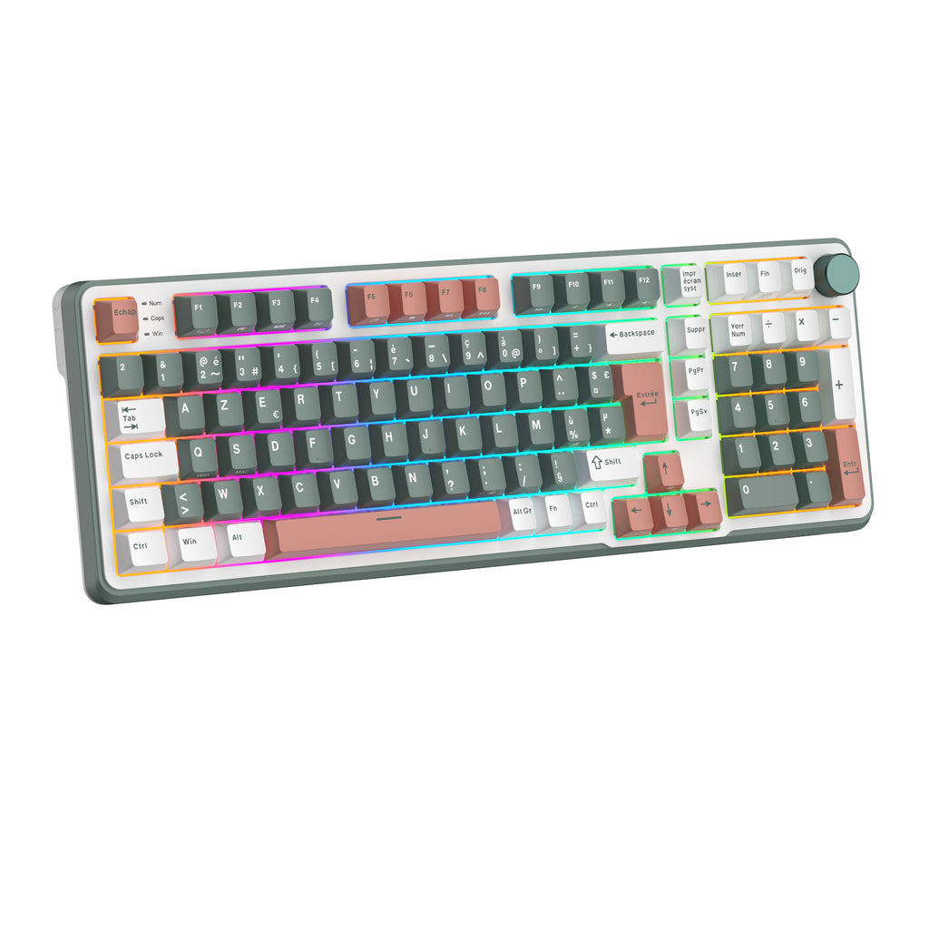 RK ROYAL KLUDGE C98 HE Mechanical Gaming Keyboard