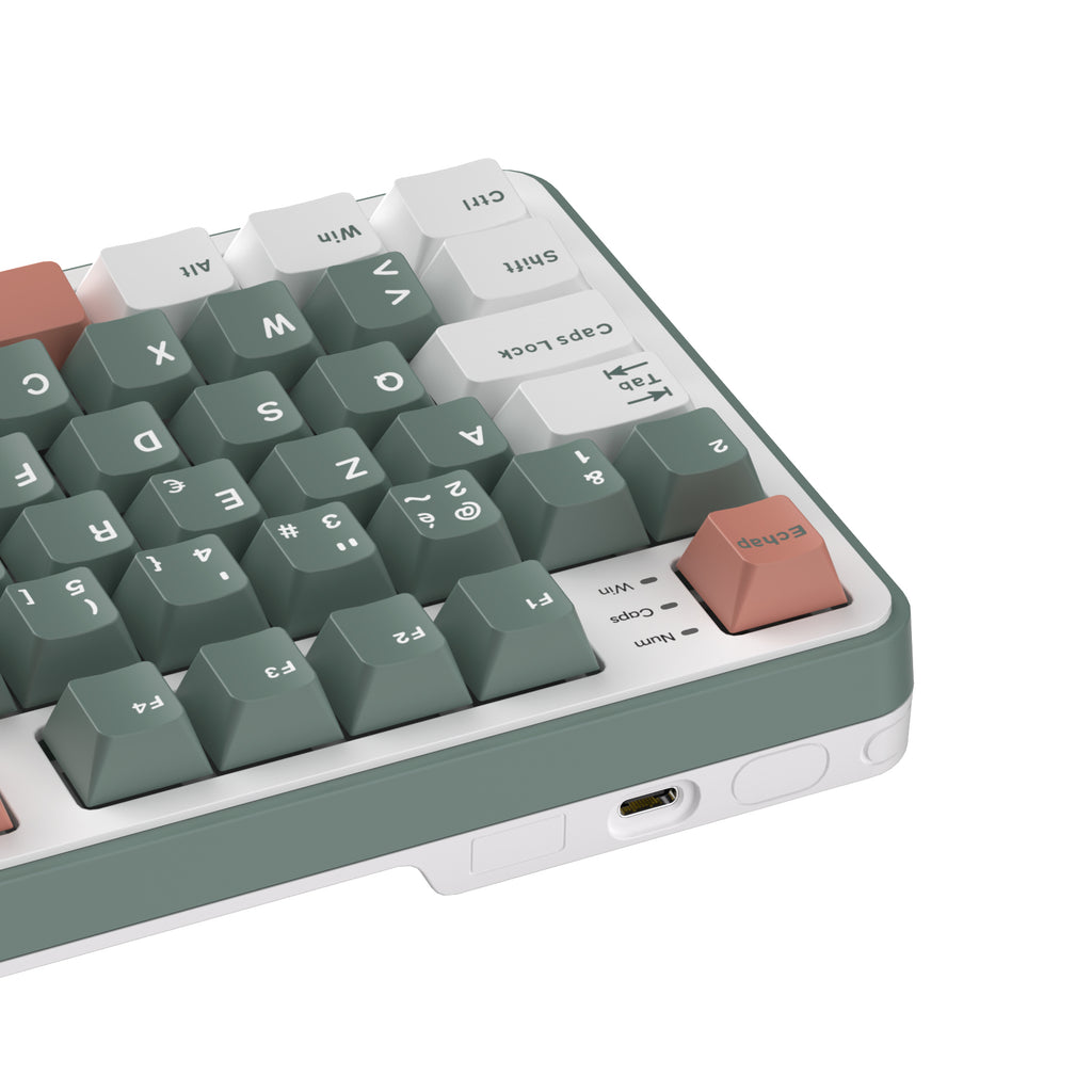RK ROYAL KLUDGE C98 HE Mechanical Gaming Keyboard