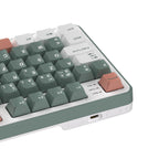 RK ROYAL KLUDGE C98 HE Mechanical Gaming Keyboard