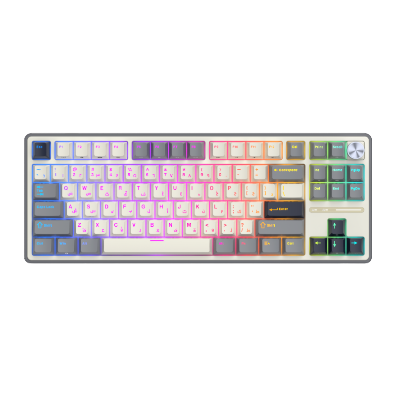 Bàn phím cơ có dây RK ROYAL KLUDGE R87 Pro