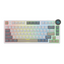 Teclado Mecânico Sem Fio de Perfil Baixo RK ROYAL KLUDGE N80