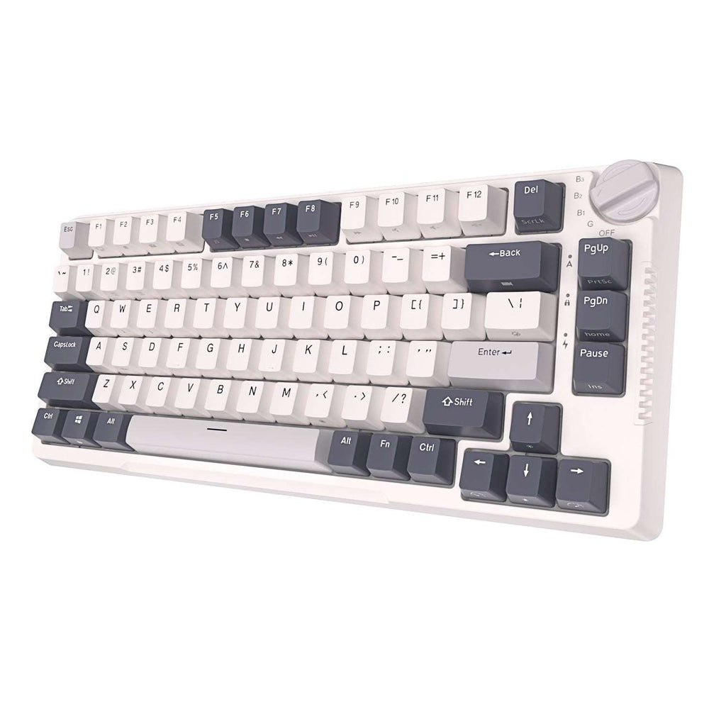 RK ROYAL KLUDGE H81 Wireless Mechanical Keyboard