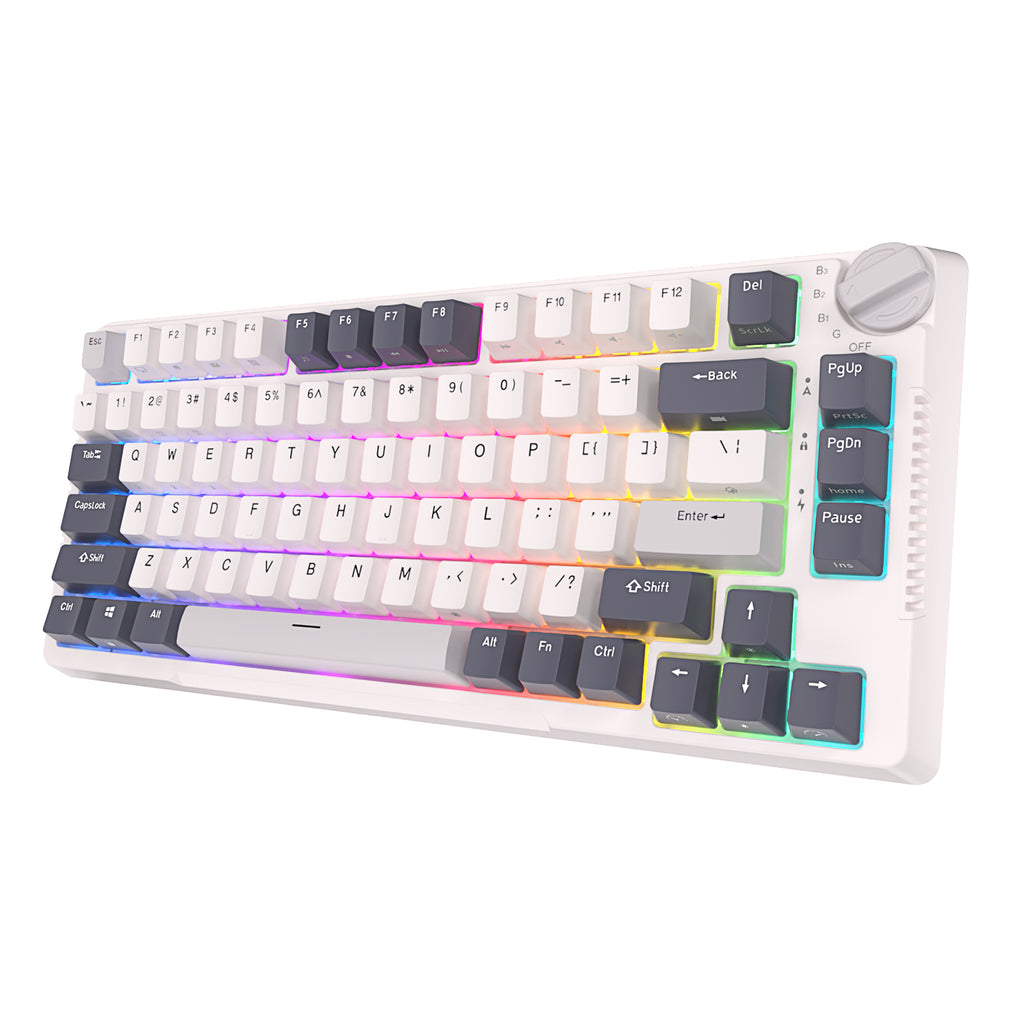 RK ROYAL KLUDGE H81 Wireless Mechanical Keyboard