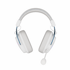 RK ROYAL KLUDGE HG103 Wireless Gaming Headset