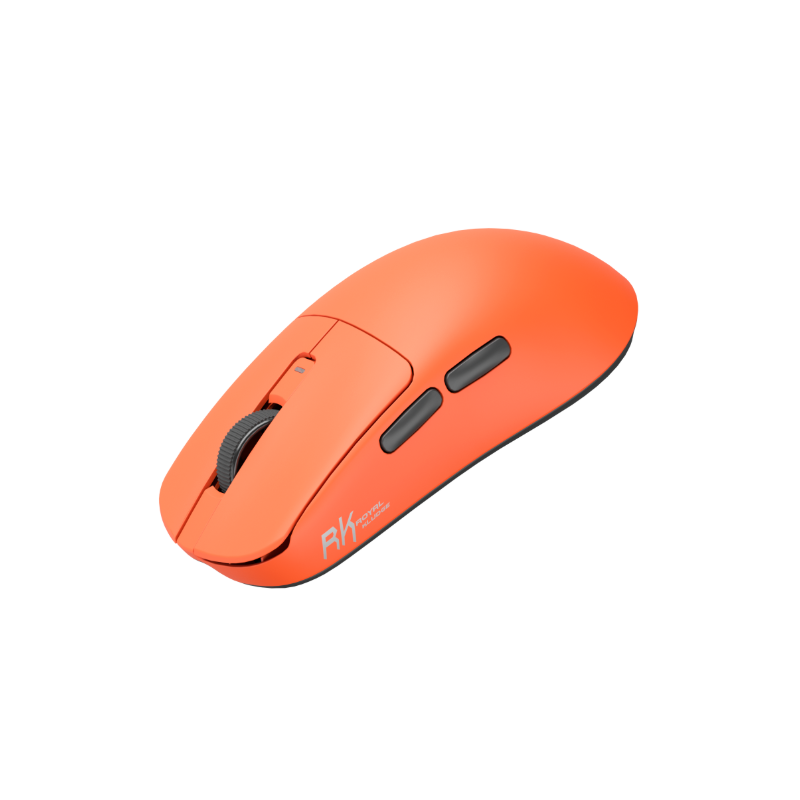 RK ROYAL KLUDGE M30 Pro Wireless Gaming Mouse