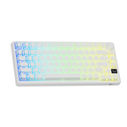 RK ROYAL KLUDGE M75 Wireless Mechanical Keyboard