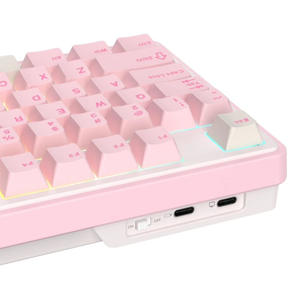 RK ROYAL KLUDGE N99 Wireless Mechanical Keyboard