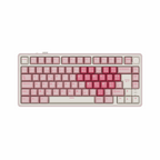 RK ROYAL KLUDGE R75 Pro Wireless Mechanical Keyboard
