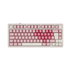 RK ROYAL KLUDGE R75 Pro Wireless Mechanical Keyboard