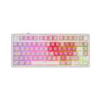 RK ROYAL KLUDGE R75 Pro Wireless Mechanical Keyboard