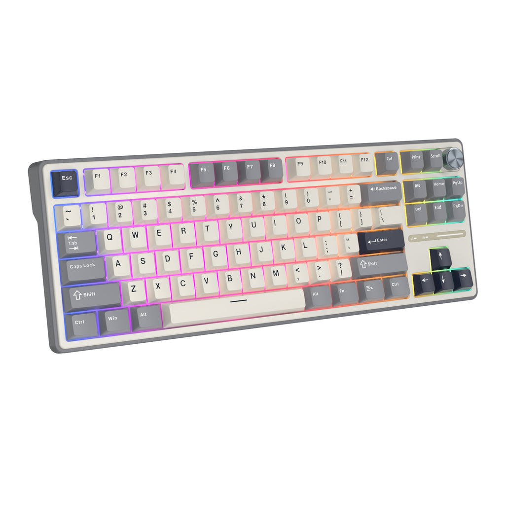 Bàn phím cơ có dây RK ROYAL KLUDGE R87 Pro