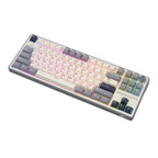 Bàn phím cơ có dây RK ROYAL KLUDGE R87 Pro