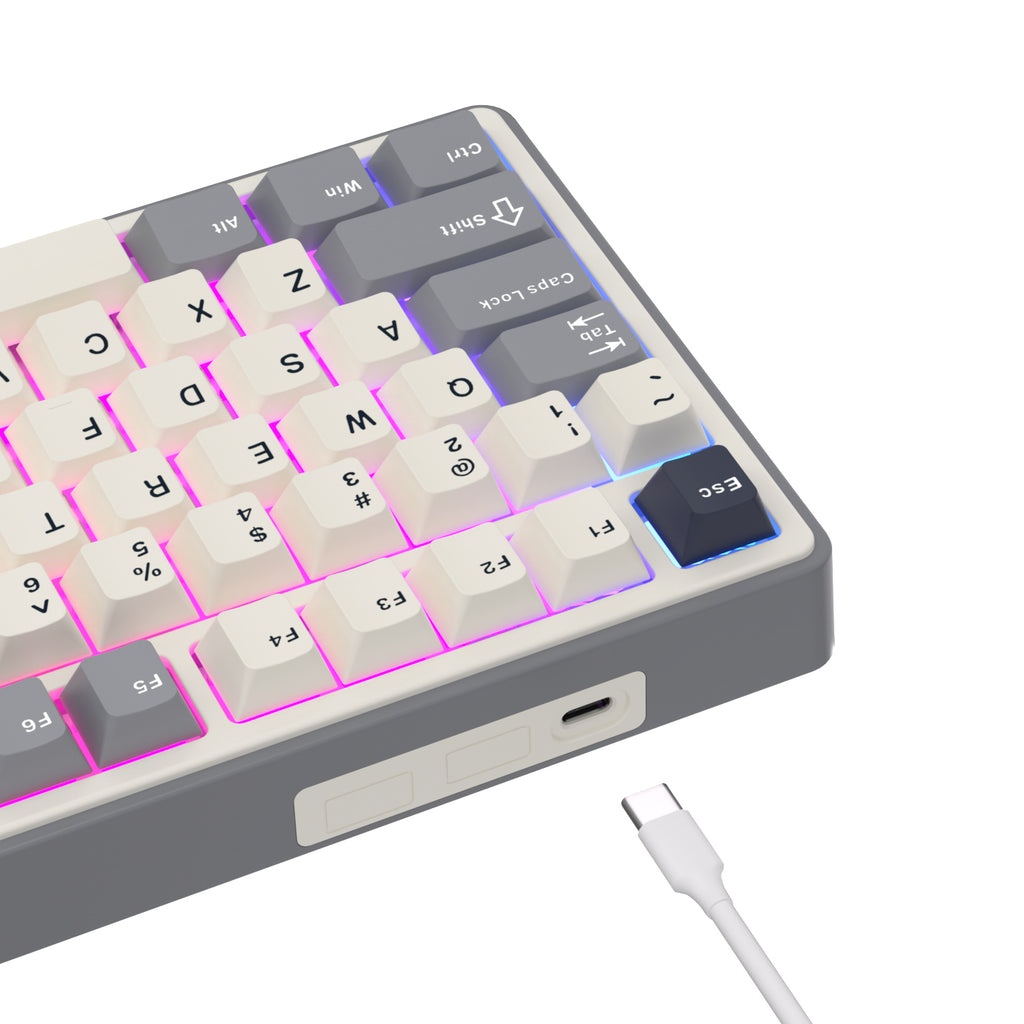 Bàn phím cơ có dây RK ROYAL KLUDGE R87 Pro