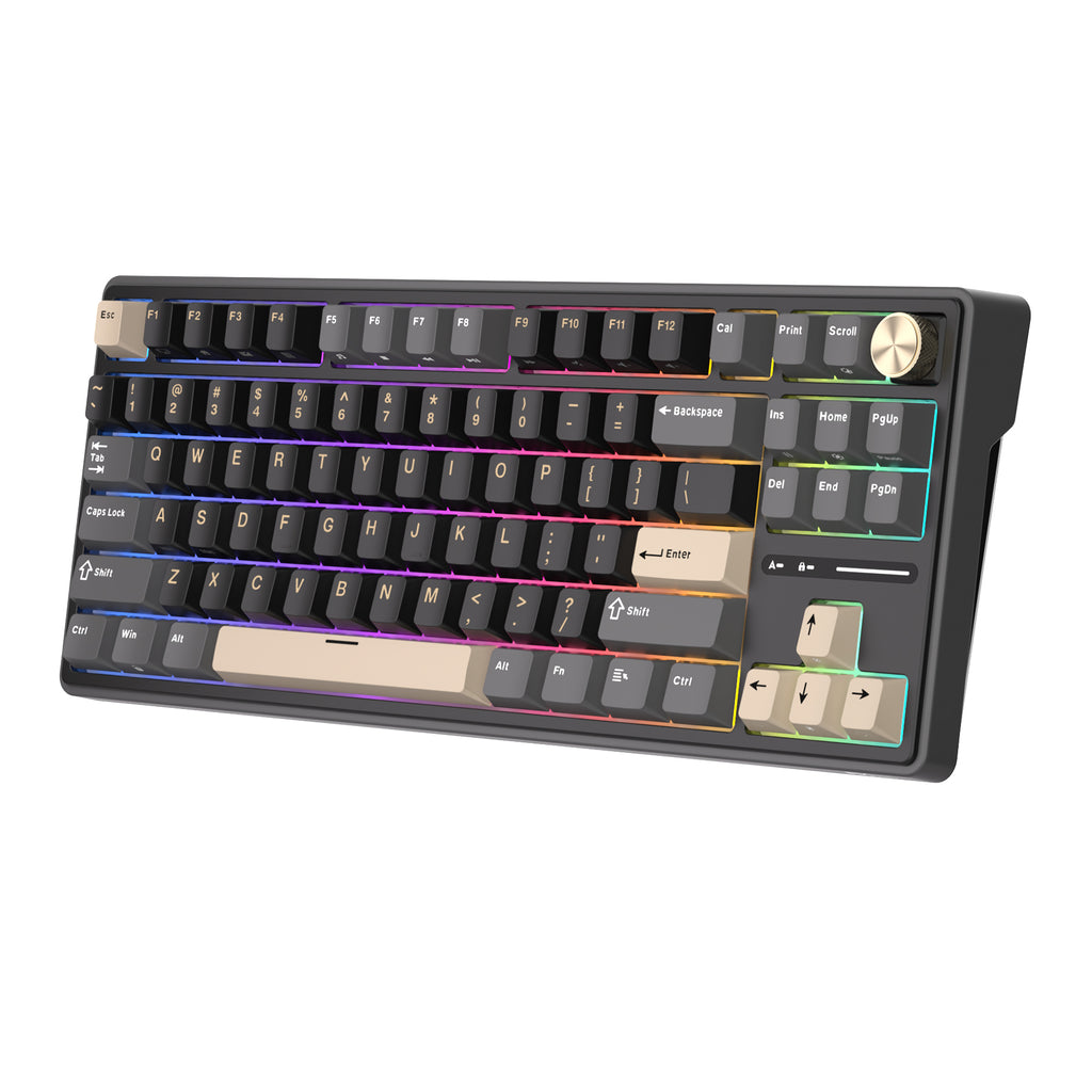 Bàn phím cơ có dây RK ROYAL KLUDGE R87 Pro