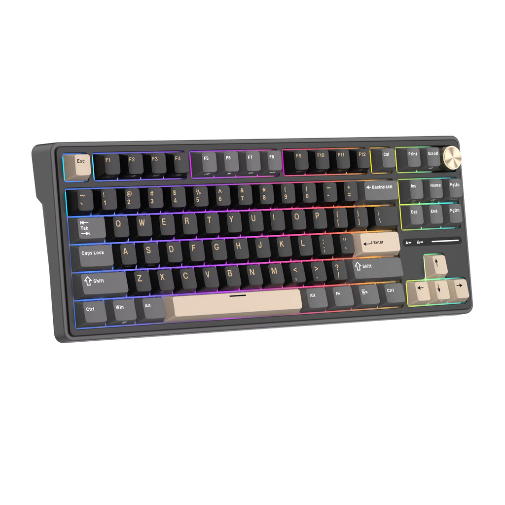 Bàn phím cơ có dây RK ROYAL KLUDGE R87 Pro