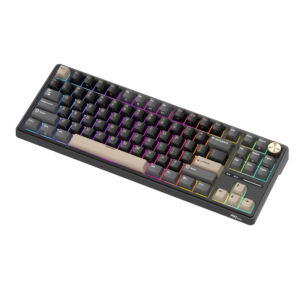 Bàn phím cơ có dây RK ROYAL KLUDGE R87 Pro