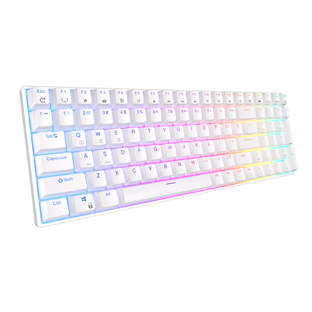RK ROYAL KLUDGE RK100 Wireless Mechanical Keyboard