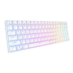 RK ROYAL KLUDGE RK100 Wireless Mechanical Keyboard