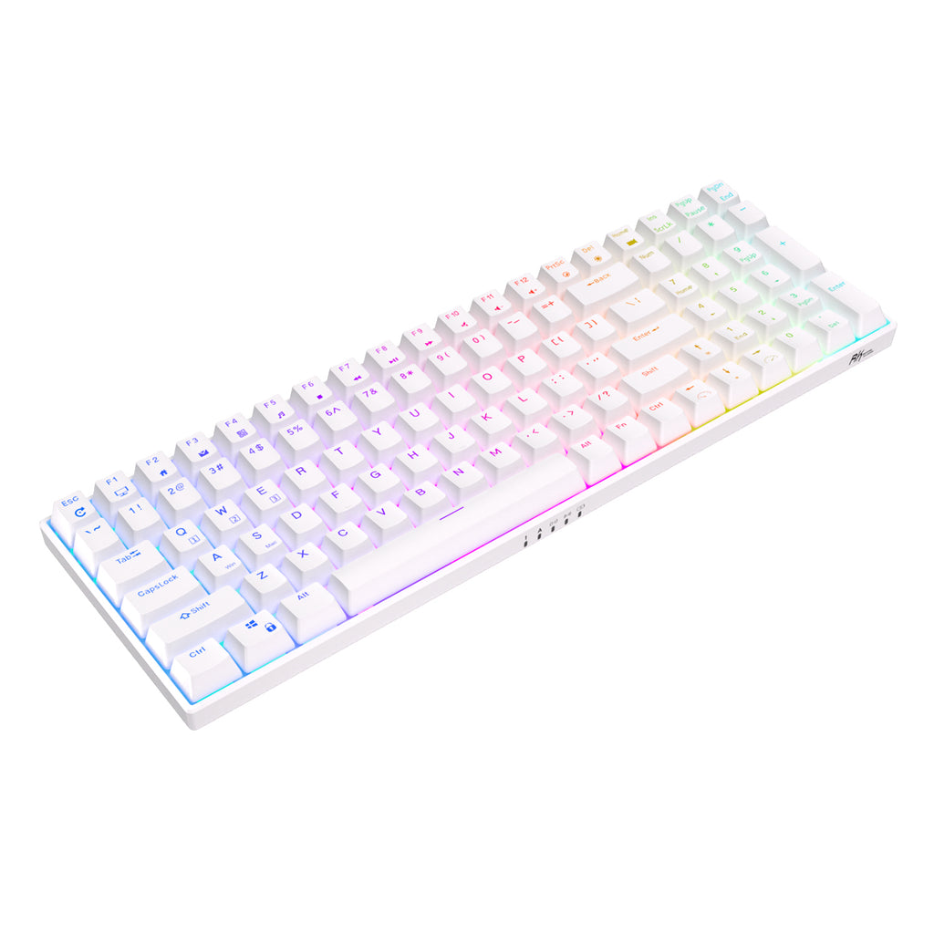RK ROYAL KLUDGE RK100 Wireless Mechanical Keyboard