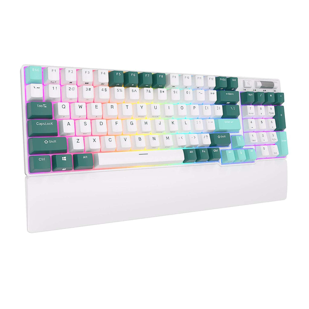 RK ROYAL KLUDGE RK96 Wireless Mechanical Keyboard
