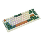 RK ROYAL KLUDGE H81 Wireless Mechanical Keyboard