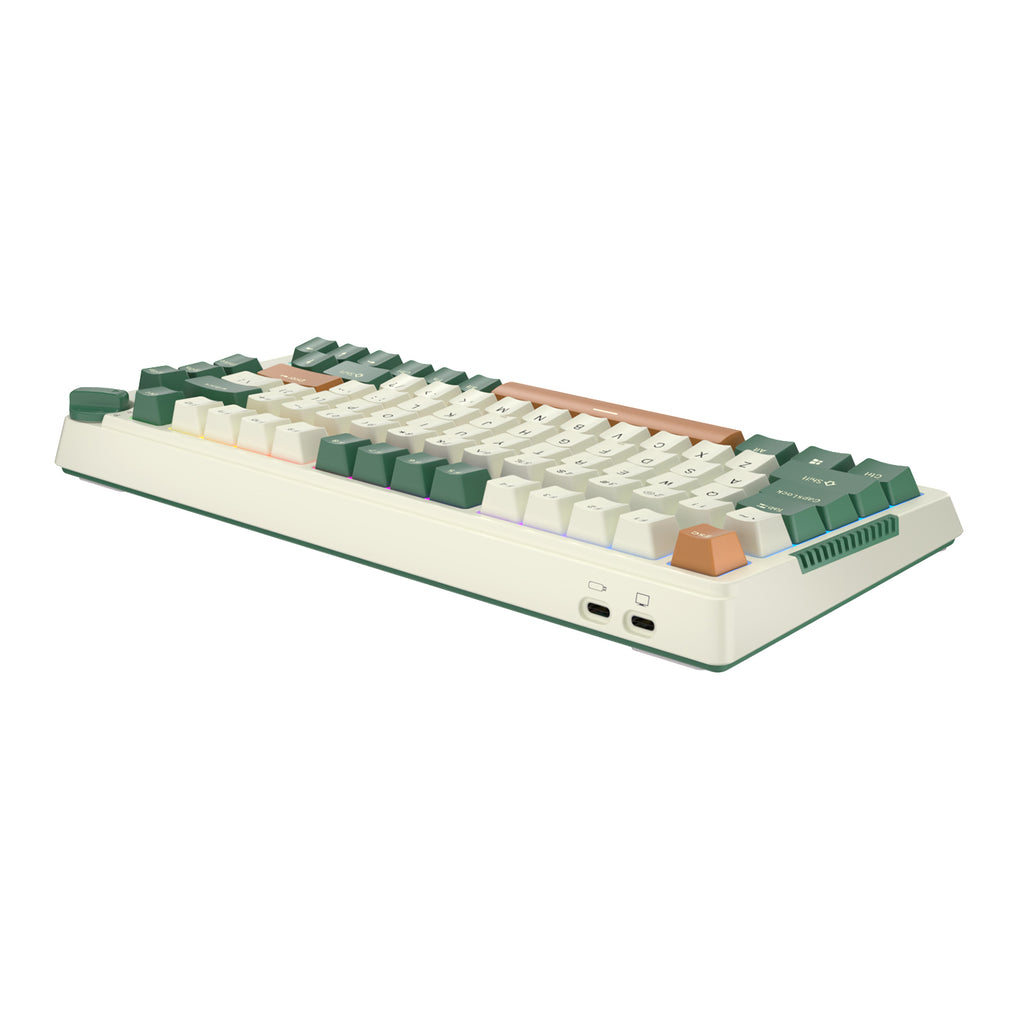 RK ROYAL KLUDGE H81 Wireless Mechanical Keyboard