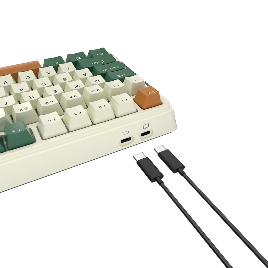 RK ROYAL KLUDGE H81 Wireless Mechanical Keyboard