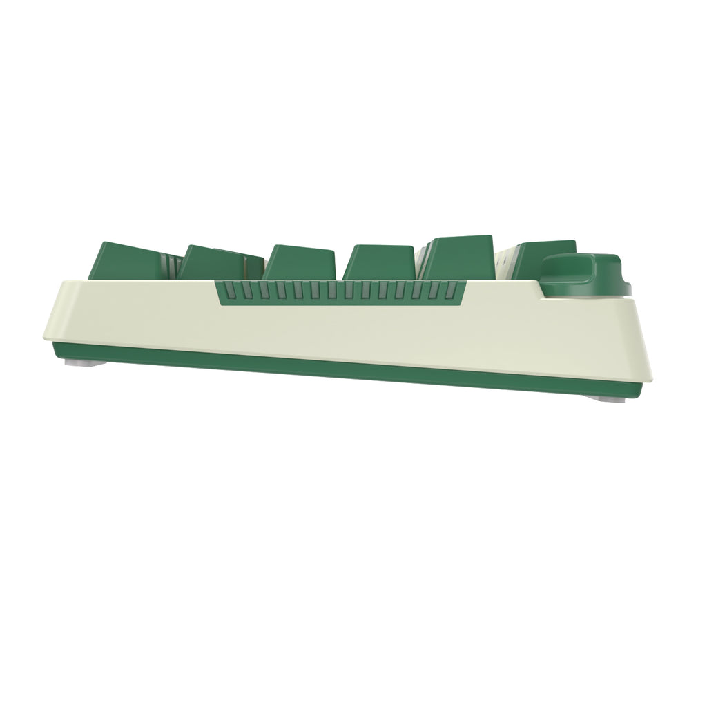 RK ROYAL KLUDGE H81 Wireless Mechanical Keyboard