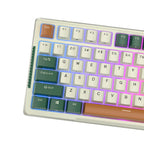 RK ROYAL KLUDGE H81 Wireless Mechanical Keyboard