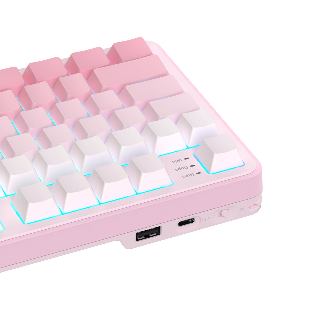 RK ROYAL KLUDGE S98 Wireless Mechanical Keyboard
