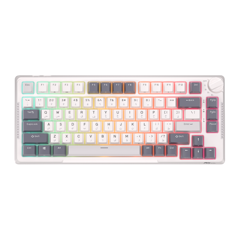 RK ROYAL KLUDGE H81 Wireless Mechanical Keyboard