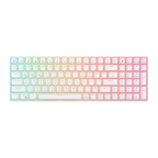 RK ROYAL KLUDGE RK100 Wireless Mechanical Keyboard