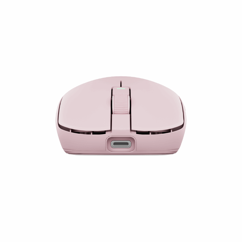 RK ROYAL KLUDGE M30 Pro Wireless Gaming Mouse