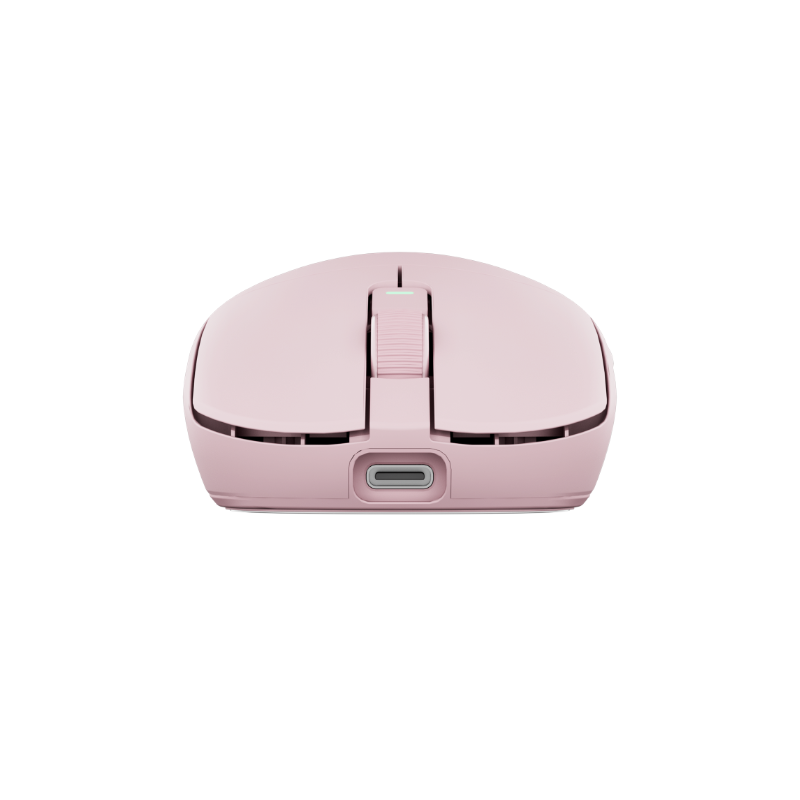 RK ROYAL KLUDGE M30 Pro Wireless Gaming Mouse